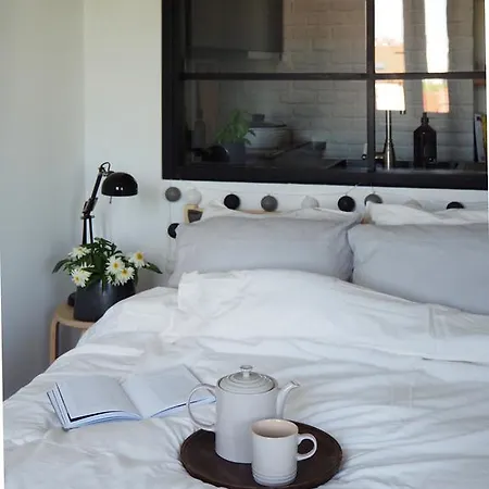 Msc Brzezno Hygge *