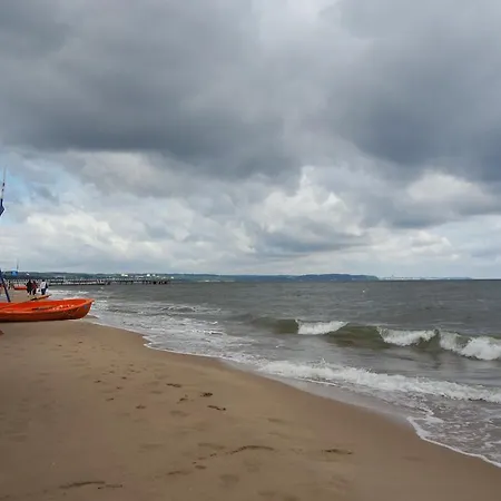 Msc Brzezno Hygge Gdansk